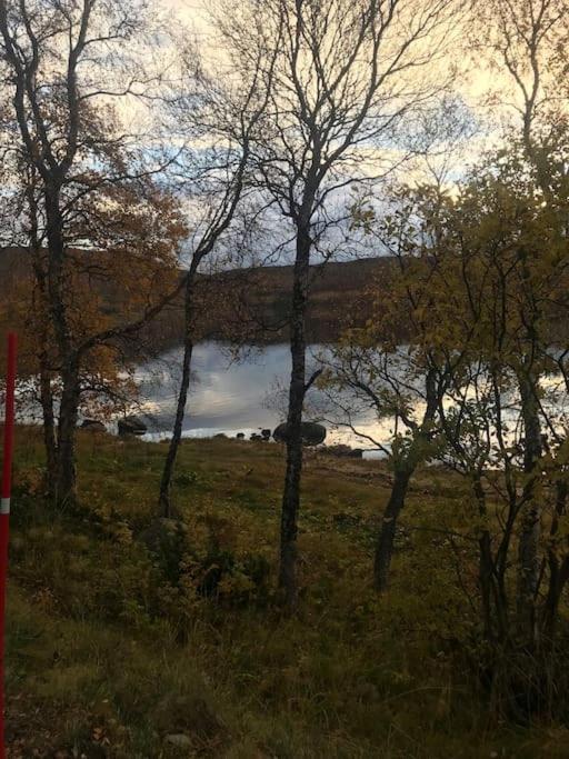 Trivelig Fritidshus Pa Arnes, Senja Straumstad Exterior photo
