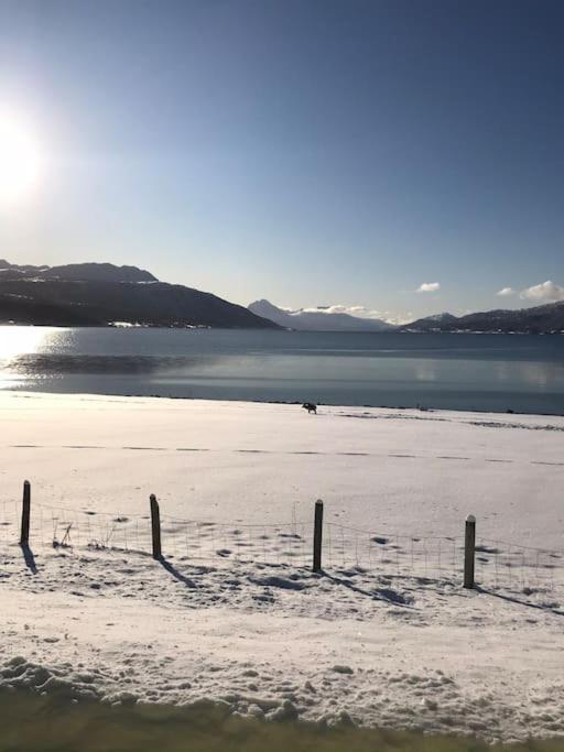 Trivelig Fritidshus Pa Arnes, Senja Straumstad Exterior photo
